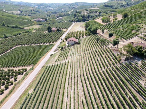 terreno agricolo in vendita ad Alba