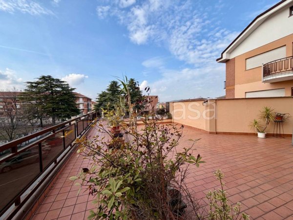 immagine annuncio 0 di 15