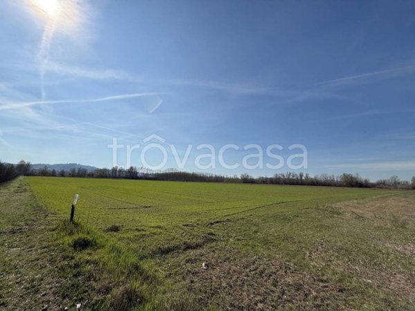 terreno agricolo in vendita ad Alba