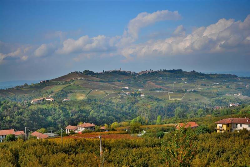 azienda agricola in vendita ad Alba