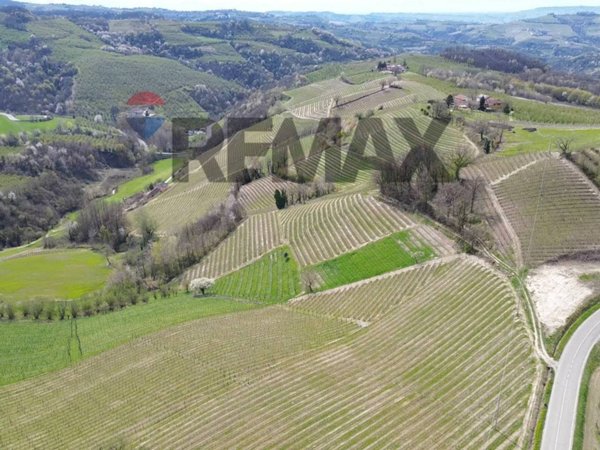 azienda agricola in vendita ad Alba