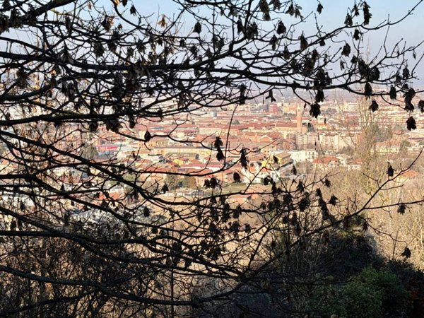 casa indipendente in vendita ad Alba
