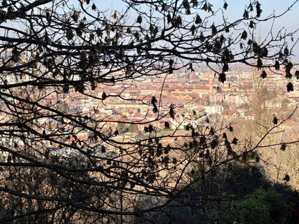 casa indipendente in vendita ad Alba