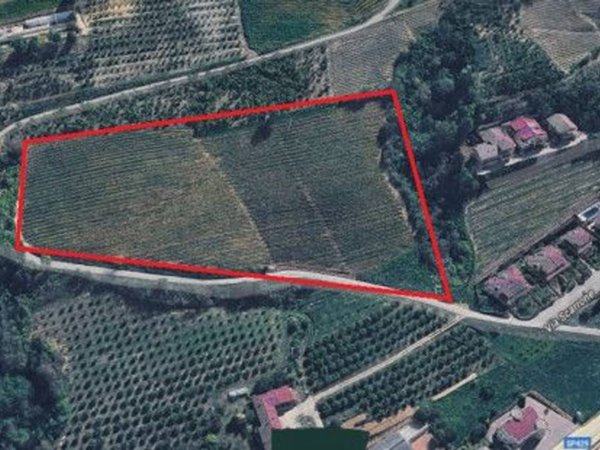 terreno agricolo in vendita ad Alba