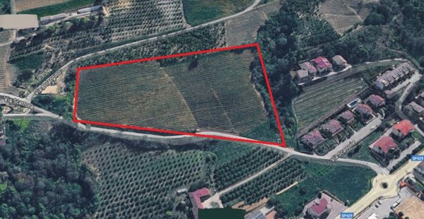 terreno agricolo in vendita ad Alba