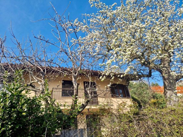 quadrivano in vendita ad Alba