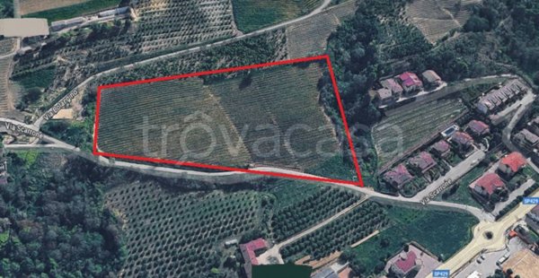 terreno agricolo in vendita ad Alba