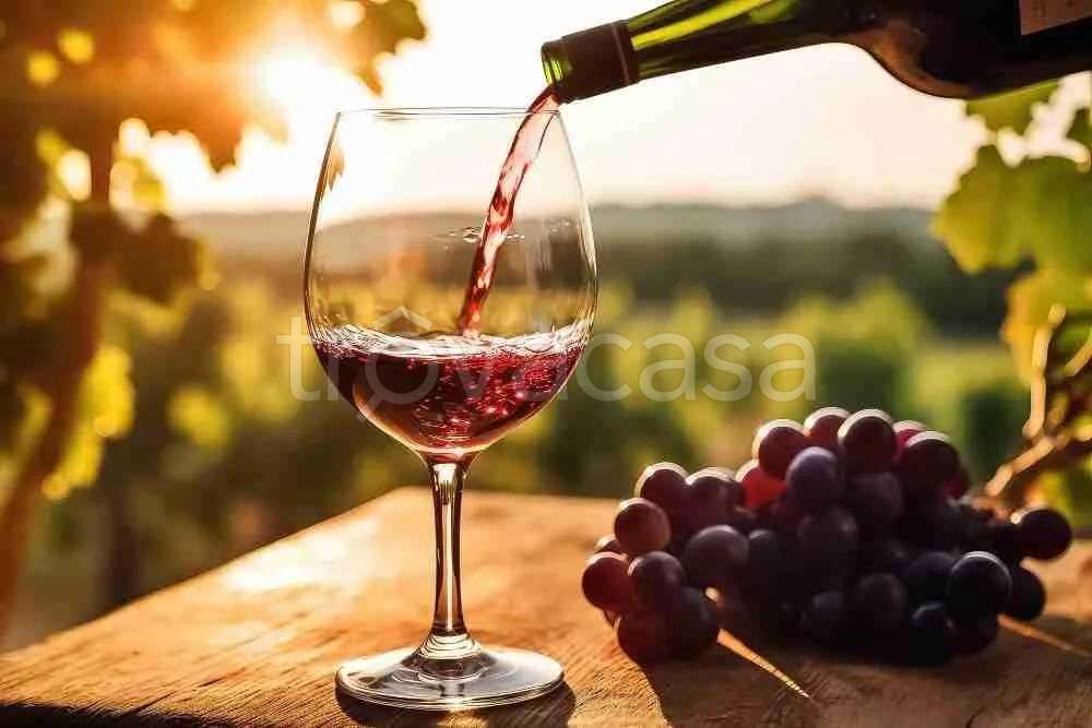 negozio in vendita ad Alba