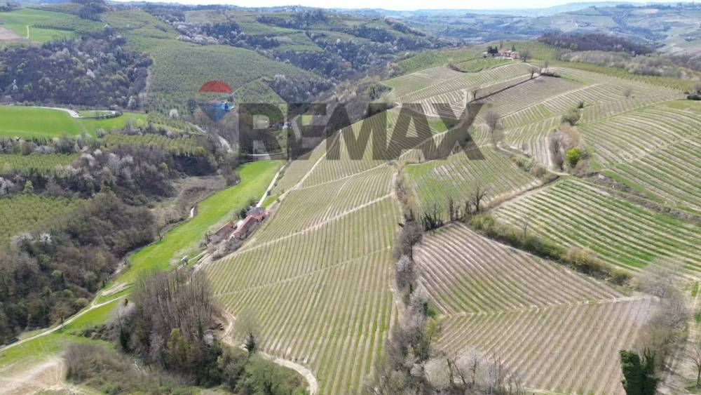 azienda agricola in vendita ad Alba