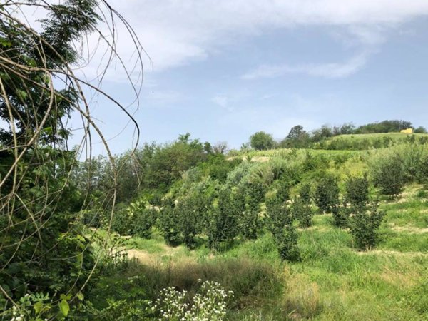 terreno in vendita ad Alba