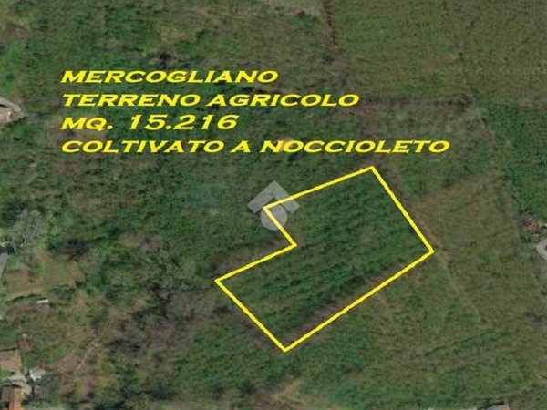 terreno agricolo in vendita a Mercogliano