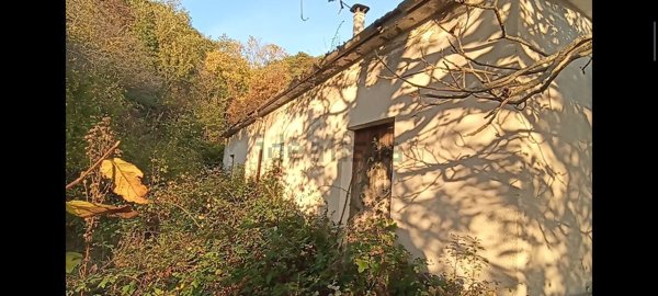 terreno agricolo in vendita a Montaguto