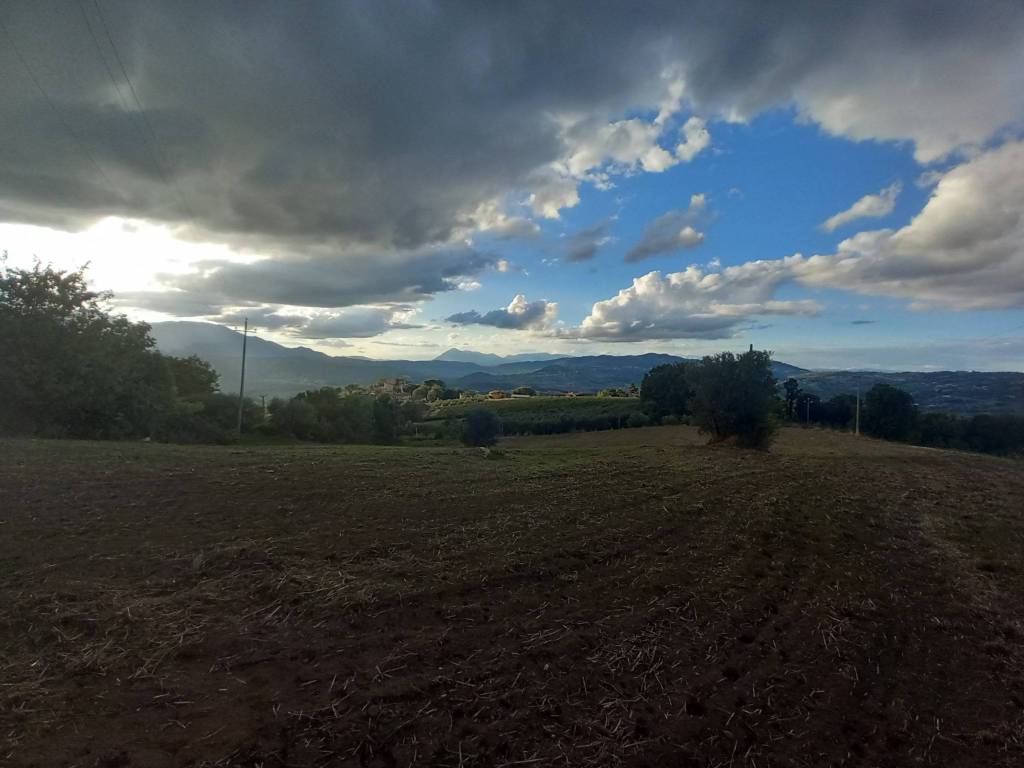 terreno agricolo in vendita a Montefalcione