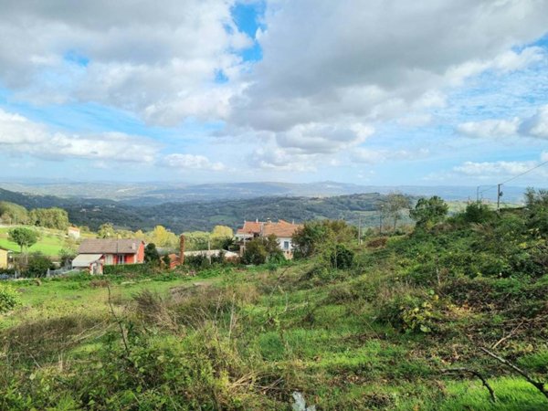 terreno agricolo in vendita a Montefalcione