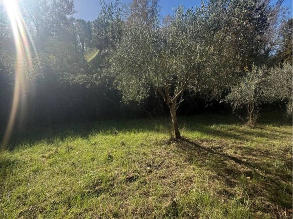 casa indipendente in vendita a Montefalcione