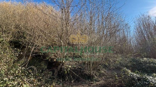terreno agricolo in vendita a Monteforte Irpino