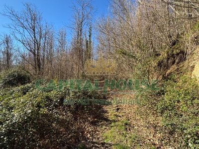 terreno agricolo in vendita a Monteforte Irpino