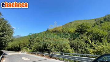 terreno agricolo in vendita a Monteforte Irpino