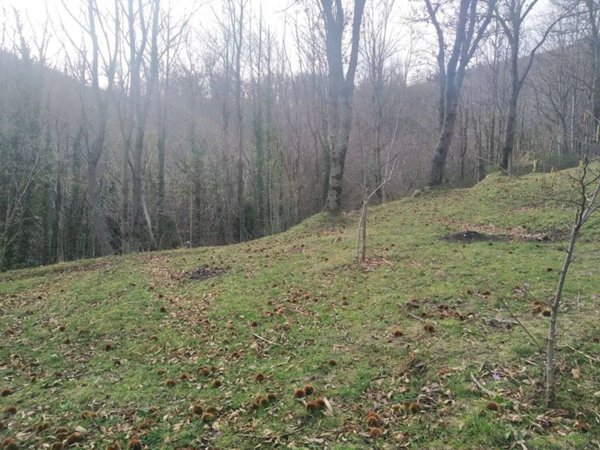 terreno agricolo in vendita a Monteforte Irpino