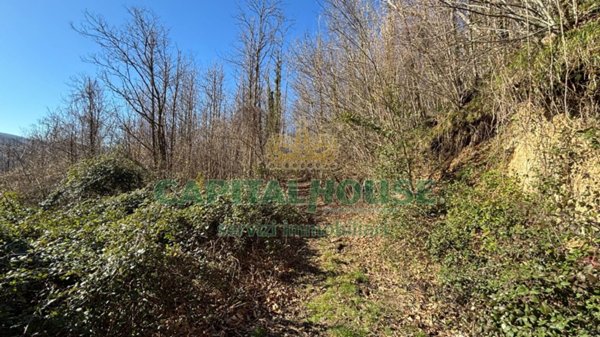 terreno agricolo in vendita a Monteforte Irpino