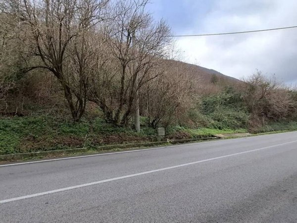 terreno agricolo in vendita a Monteforte Irpino