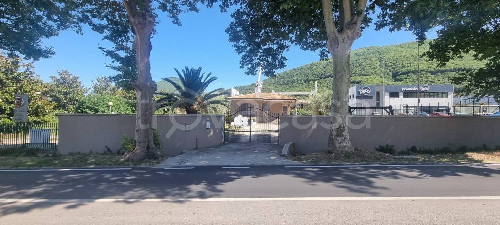 immagine annuncio 0 di 15