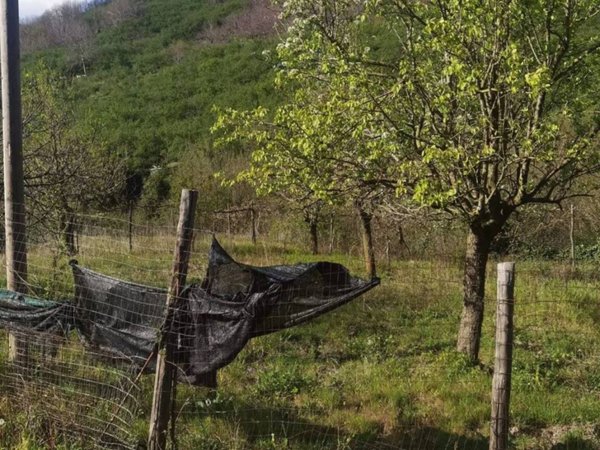 terreno agricolo in vendita a Monteforte Irpino