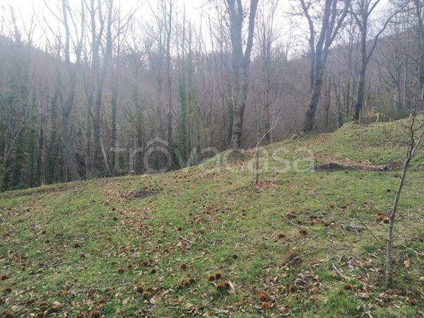 terreno agricolo in vendita a Monteforte Irpino