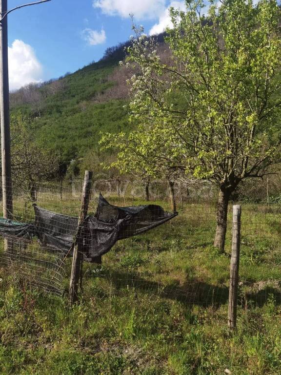 terreno agricolo in vendita a Monteforte Irpino