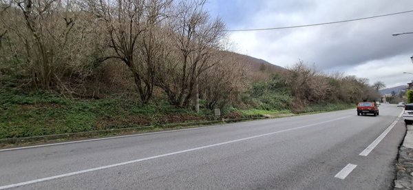 terreno agricolo in vendita a Monteforte Irpino