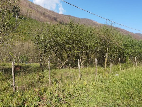 terreno agricolo in vendita a Monteforte Irpino