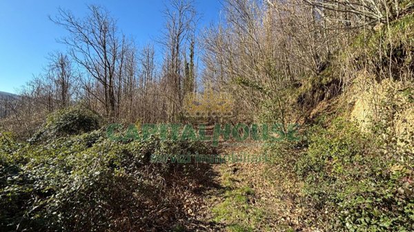 terreno agricolo in vendita a Monteforte Irpino