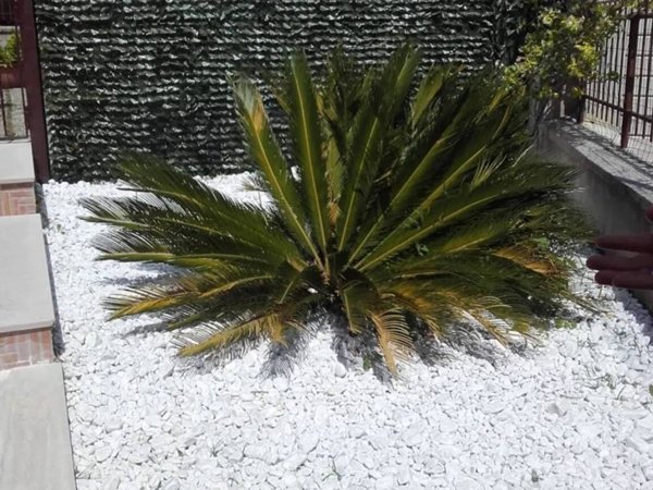 casa indipendente in vendita a Monteforte Irpino in zona Molinelle