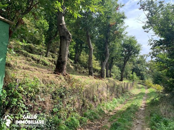 terreno agricolo in vendita a Monteforte Irpino in zona Campi