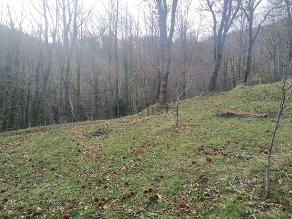 terreno in vendita a Monteforte Irpino