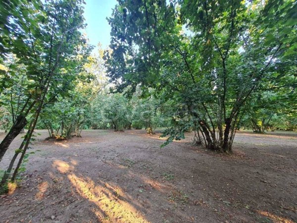 terreno agricolo in vendita a Montefredane in zona Alimata
