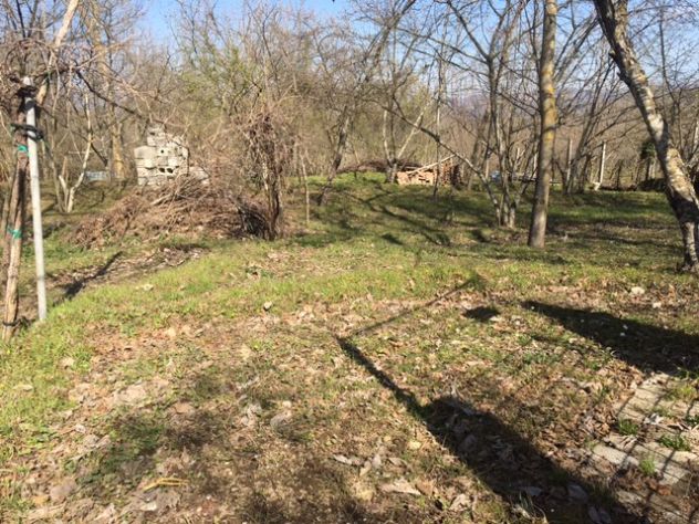 terreno agricolo in vendita a Montefredane