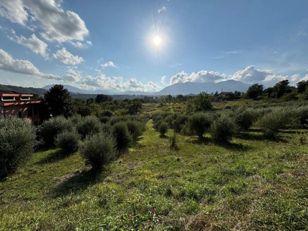 terreno agricolo in vendita a Montefredane