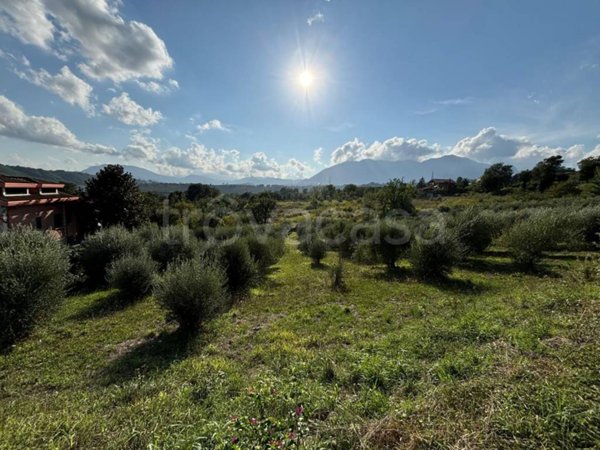 terreno agricolo in vendita a Montefredane