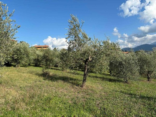 terreno agricolo in vendita a Montefredane