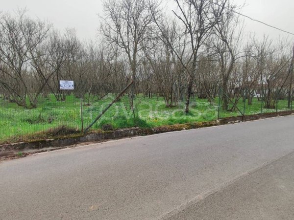 terreno agricolo in vendita a Montefredane