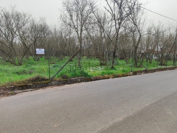 capannone in vendita a Montefredane