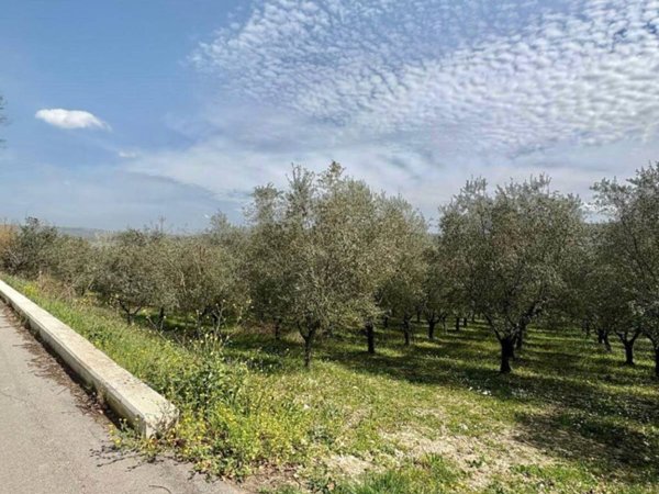 terreno agricolo in vendita a Montefredane