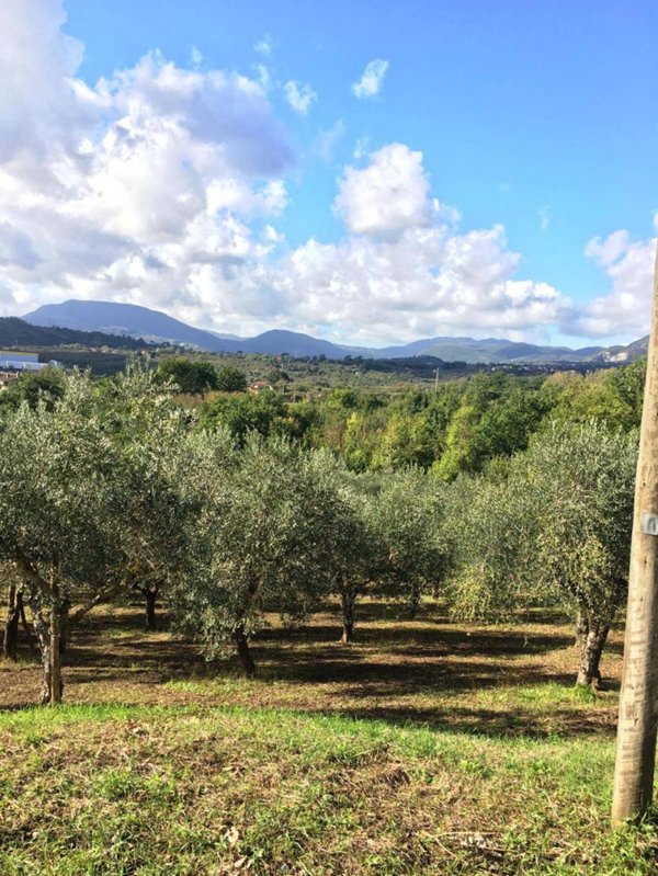 terreno agricolo in vendita a Montefredane in zona Alimata