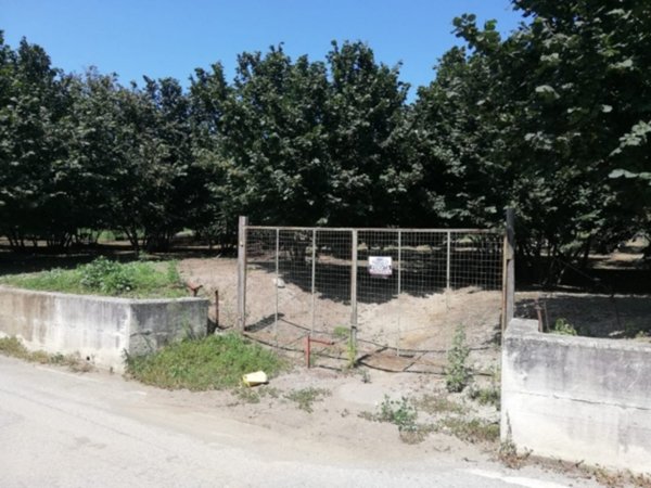 terreno agricolo in vendita a Montefredane