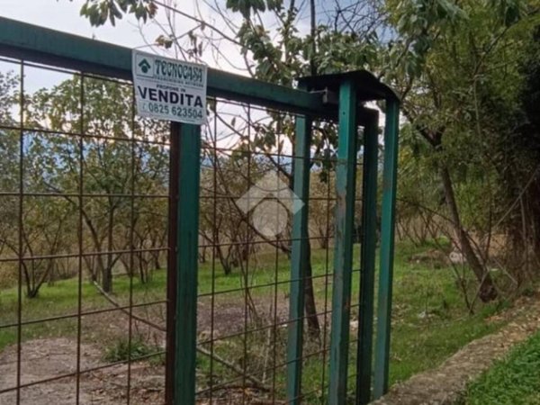 terreno agricolo in vendita a Montefredane
