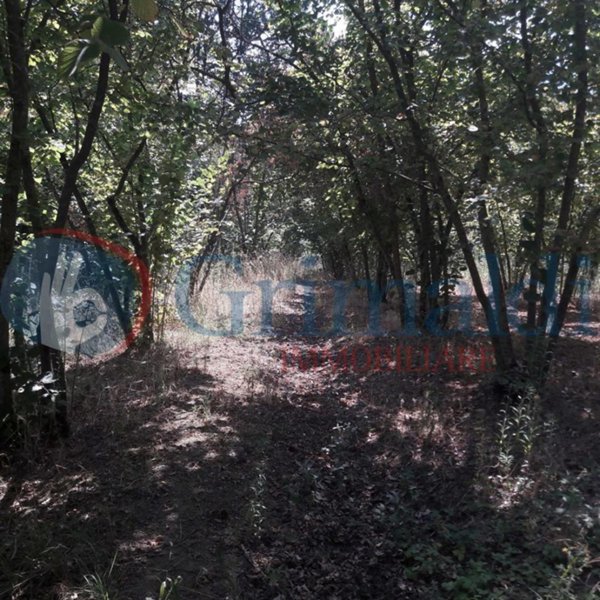 terreno agricolo in vendita a Montefredane