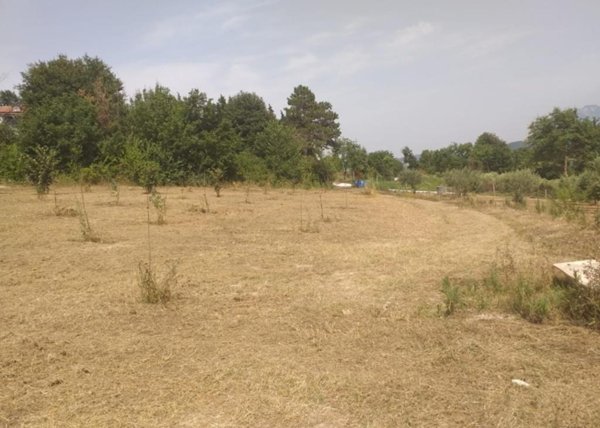 terreno agricolo in vendita a Montefredane