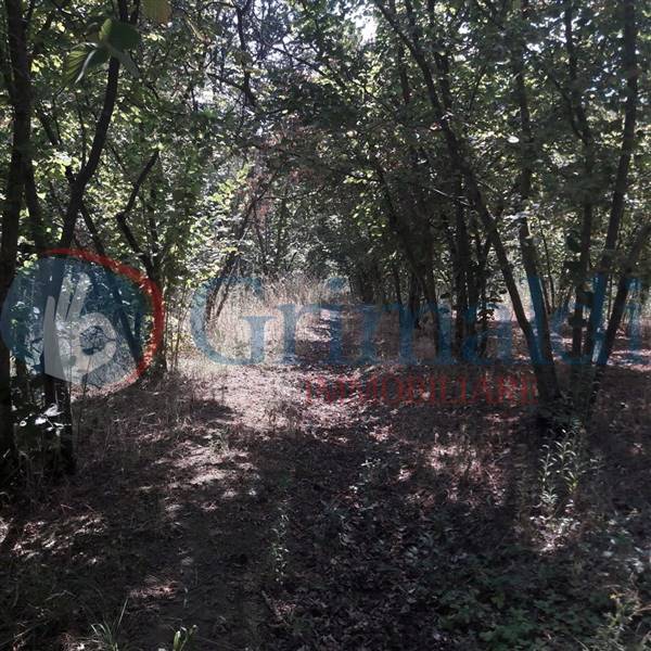 terreno agricolo in vendita a Montefredane