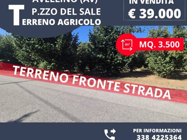 terreno agricolo in vendita a Montefredane